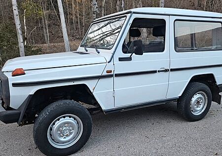 Mercedes-Benz G 230 230 GE, W 461, Joungtimer mit Potenzial