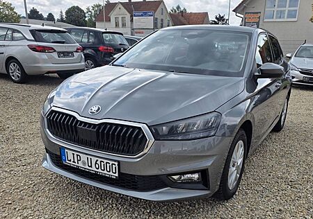 Skoda Fabia Selection aus 1. Hand, Top Ausstattung