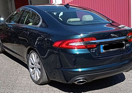 Jaguar XF 3.0 L V6 Kompressor AWD -