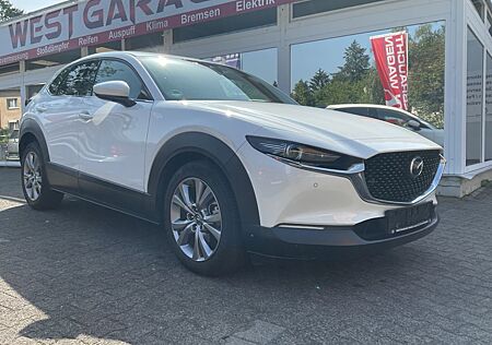 Mazda CX-3 CX-30 Selection 2WD Navi Kamera Head up