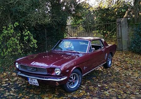Ford Mustang 289cui V8 Verkauf/Tausch neuer TÜV 06/27