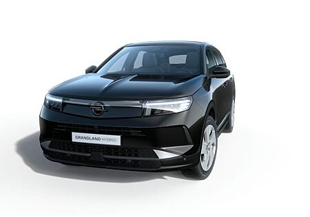 Opel Grandland X gebraucht kaufen Opel Grandland X Grandland Edition MHEV **Gewerbehammer**