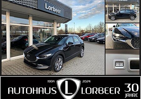 Mazda CX-30 M-HYBRID 122PS SELECTION A18 NAVI APPLE/AN