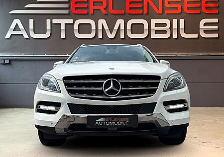 Mercedes-Benz ML 350 CDI BlueTec STDHZ/E-SITZE/360*/ILS/SOFTCL