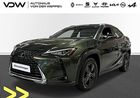 Lexus UX 250h Klima Navi Rückfahrkamera Kurvenlicht