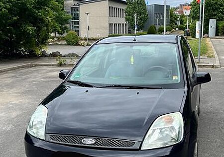 Ford Fiesta 1,3 44 kW WE WILL ROCK YOU WE WILL RO...