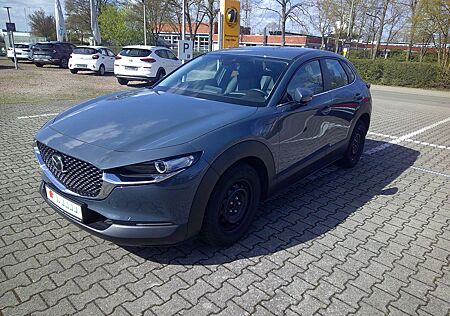 Mazda CX-3 CX-30 Selection 2WD,Leder,Navi,Kamera,8fach.bere