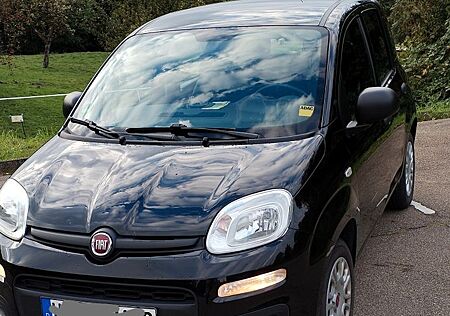 Fiat New Panda 1.2 8V EASY EASY