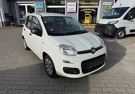 Fiat Panda Pop