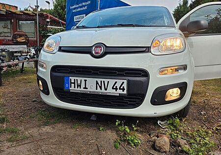 Fiat Panda in Weiß 45.000 gelaufen Motor TOP
