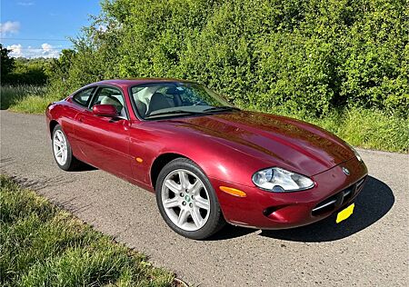 Jaguar XK8 Coupe -