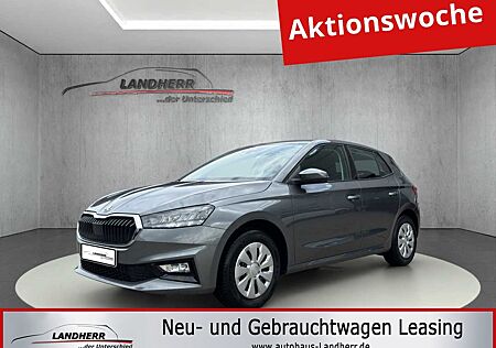Skoda Fabia 1.0 Selection/Verkehrszeichenerkennung/Ein