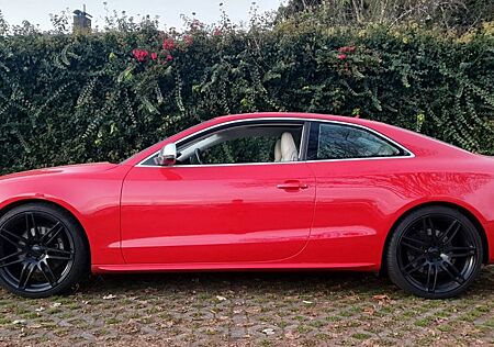 Audi S5 quattro - V8 - HS - Projekt