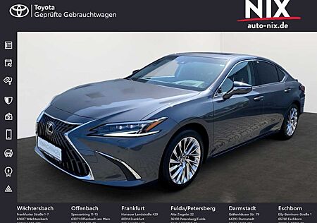 Lexus ES 300 ES 300h Luxury Line HUD Mark-Levinson LED