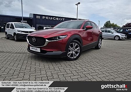 Mazda CX-30 Selection 2WD 2.0 Hybrid 150 HUD Navi 360