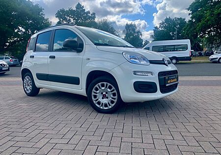 Fiat Panda Easy PDC Klima Multilenkrad