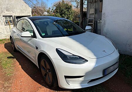 Tesla Model 3 Standard-Reichweite Plus - Hinterrad...
