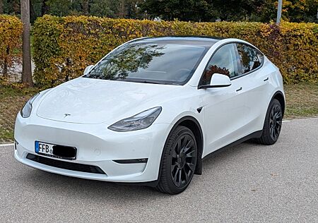 Tesla Model Y Long Range Dual Motor AWD 20-Zoll