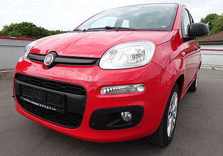 Fiat Panda Easy°Klima°1.HAND°Scheckheft°TÜV NEU°