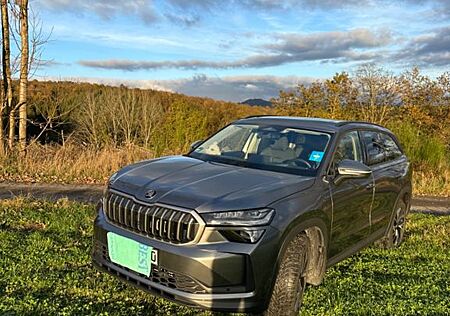 Skoda Kodiaq 2.0 TDI 4x4 142 kW DSG Selection Sele...