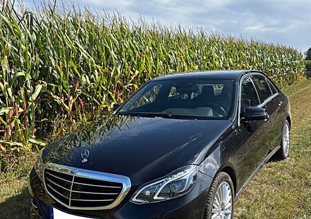 Mercedes-Benz E 500 4MATIC ELEGANCE