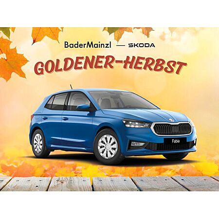 Skoda Fabia leasen