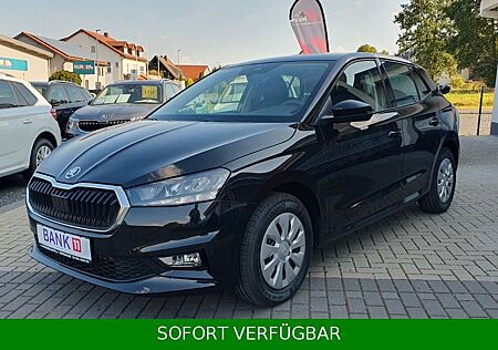 Skoda Fabia 1.0 Selection ,Klima,SHZ,PDC