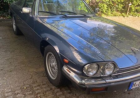 Jaguar XJS mit H Kennzeichen