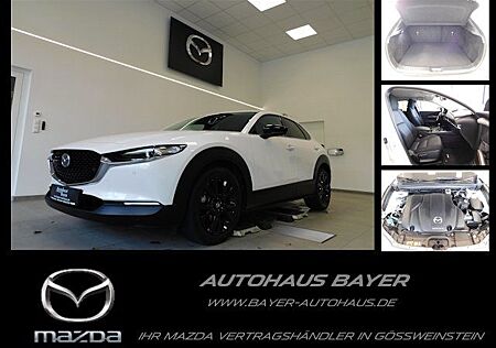 Mazda CX-30 SKY-X 2.0 M HYBRID Homura /Kamera/PDC/Navi