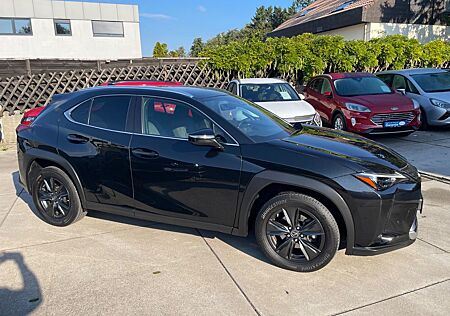 Lexus UX 250 h 2,0 Automatik /Navi/Klima/Alcantara/LED