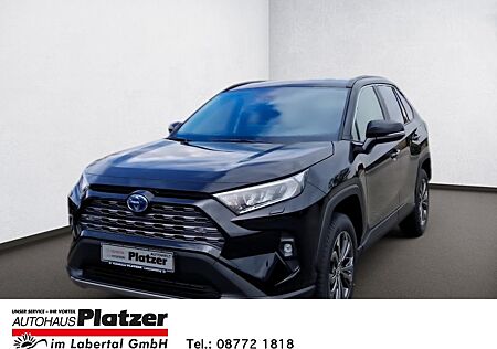 Toyota RAV 4 Hybrid 4x2 Team D Technik-Paket Navi Kamer