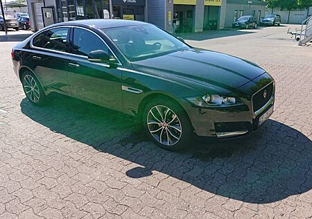 Jaguar XF 20t 200PS Prestige Automatik Prestige