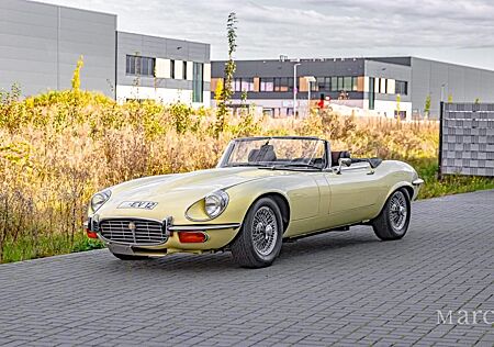 Jaguar E-Type Roadster Serie 3/Matching Numbers/2. Hand