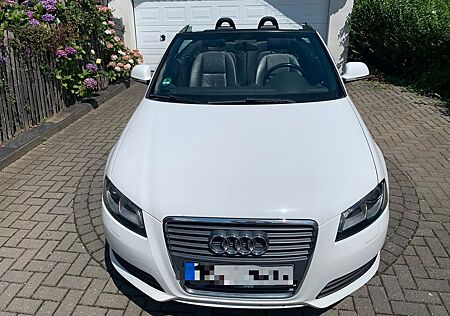 Audi A3 2.0 TDI*Cabrio*Vollleder*gepflegt