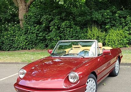 Alfa Romeo Spider , Rostfrei, Top Zustand