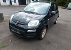 Fiat New Panda Panda 1.2