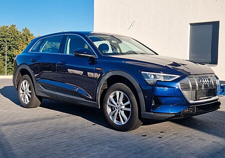 Audi e-tron *96%SOH*Luftfahrwerk*AHK*AssistenzTour*