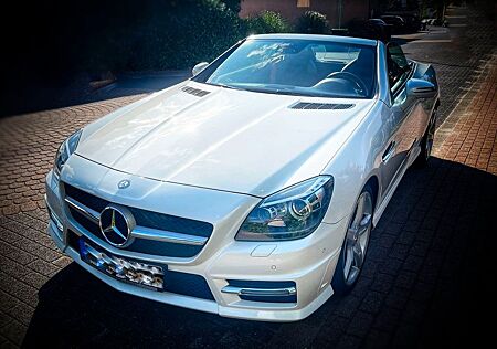 Mercedes-Benz SLK 250 CDI Aut. AMG Leder Panoramadach