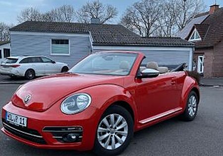 VW Beetle Volkswagen 1.2 TSI DSG BMT Exclusive Design Cabr...