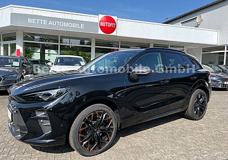 Cupra Terramar 2.0 TSI VZ DSG 4Drive *MATRIX-LED*PANO*