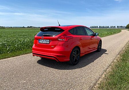 Ford Focus ST Line 8fach bereift Winterpaket