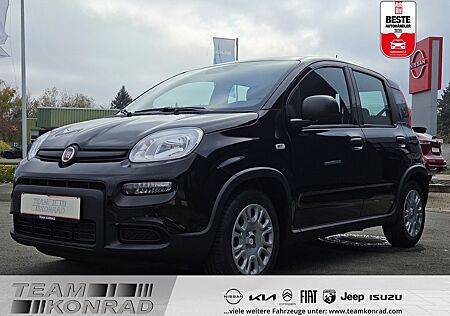 Fiat Panda Pandina Cross Mild Hybrid 1.0 GSE