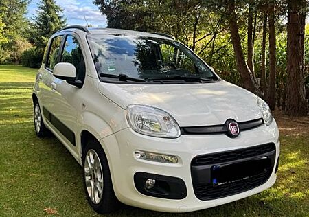 Fiat Panda gebraucht kaufen Fiat Panda , Scheckheft, Sitzheizung, Top gepflegt