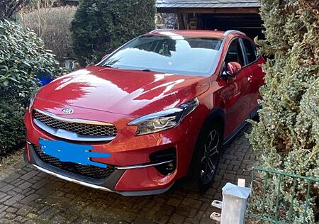 Kia XCeed 1.6 CRDi Spirit AHK Winterräder