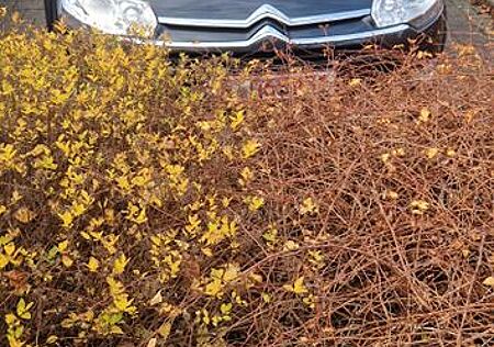 Citroën C5 Tourer 180Exclusive Top Zustand