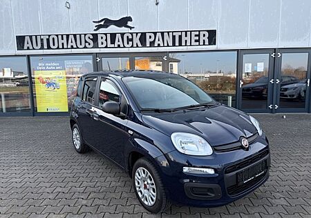 Fiat Panda Easy 1Hand Klima PDC
