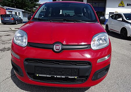 Fiat Panda Pop,Abnehmbare AHK,Klima