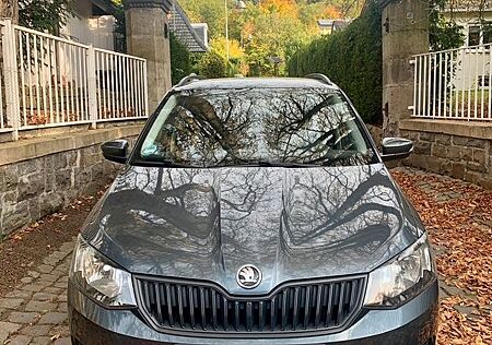 Skoda Fabia Sehr gepflegter Kombi