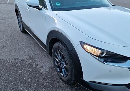 Mazda CX-30 16 Monate Garantie, TÜV neu bei übergabe