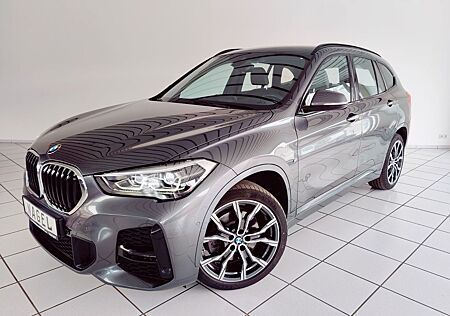 BMW X1 xDrive 20 d M Sport*Navi*DAB*PDC*AHK